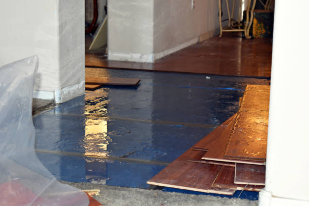 Professional Flood Cleanup technician working in Islandia, NY